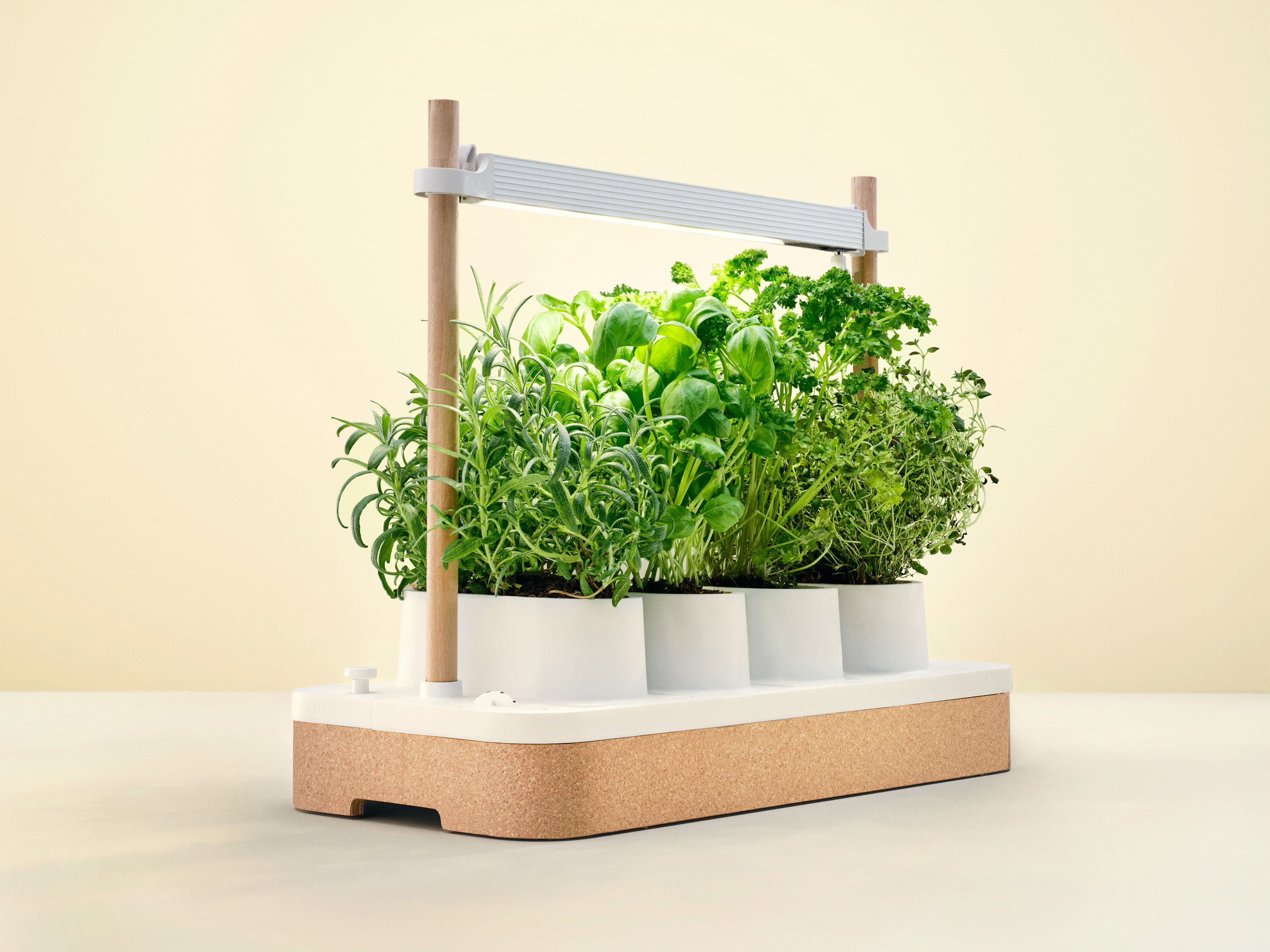 Auk Mini Indoor Hydroponic Garden